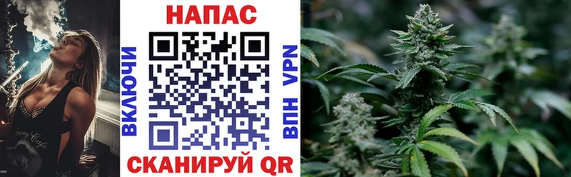 OMG зеркало  Чадан  Бошки марихуана THC 21% 